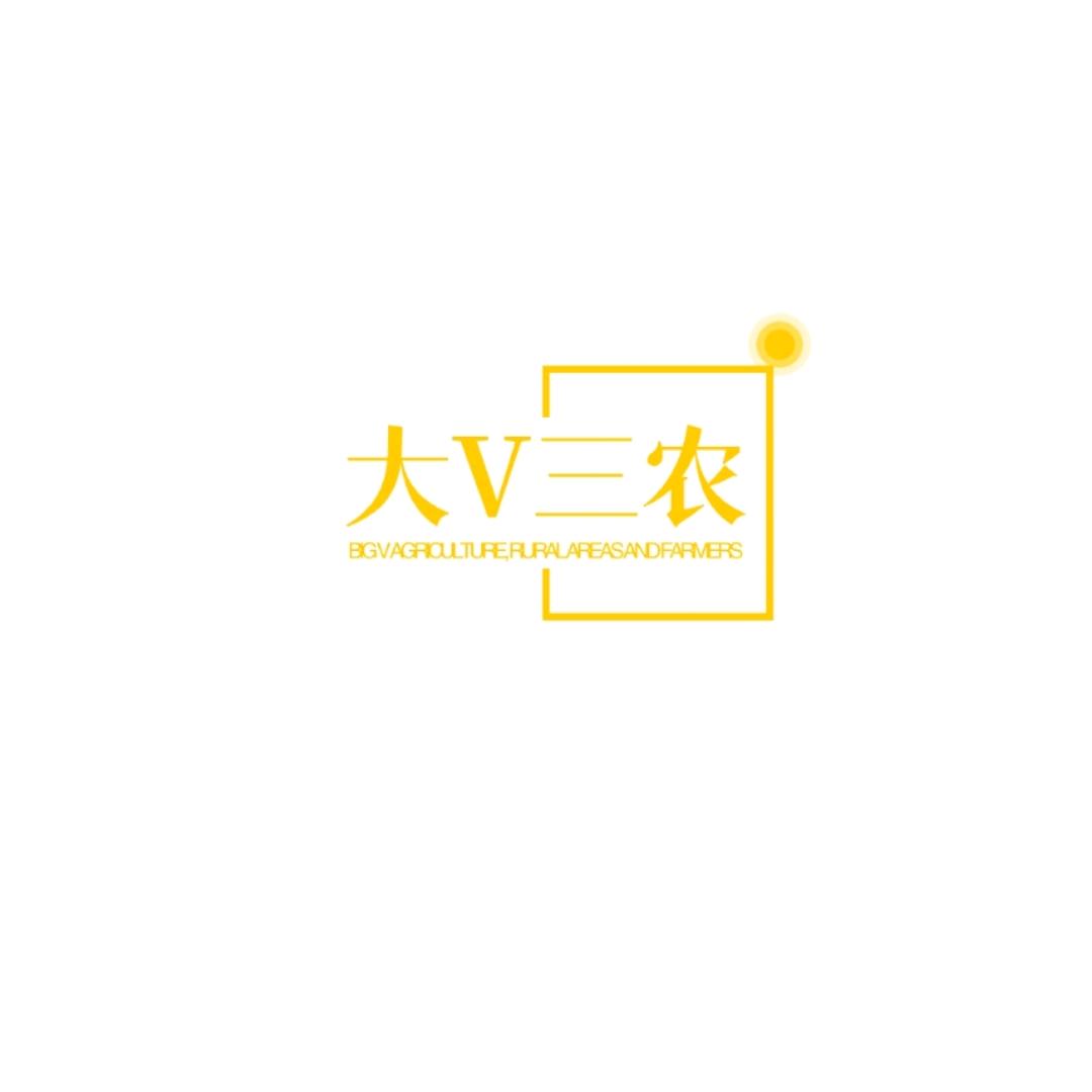 大V三农