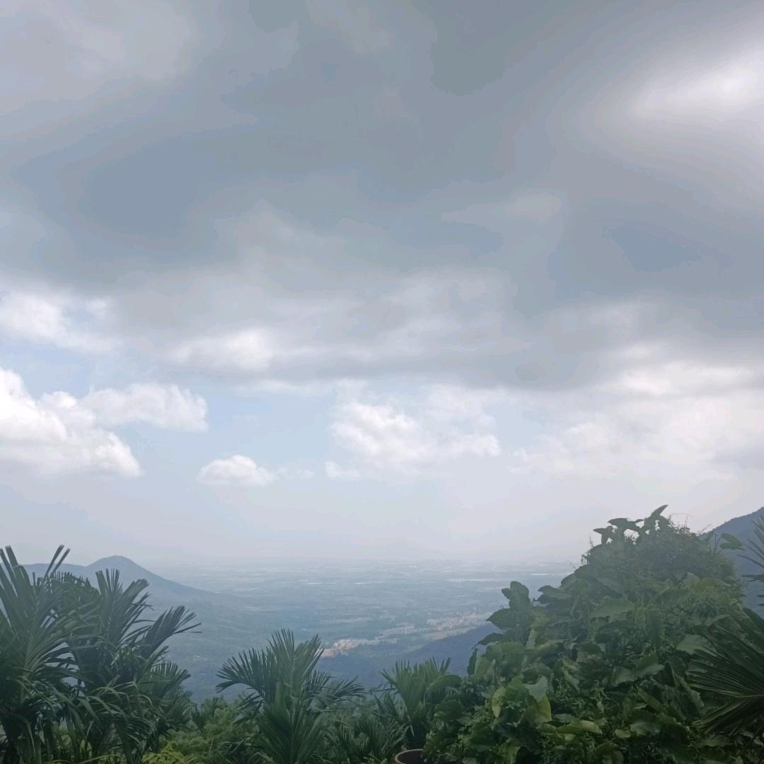 深情