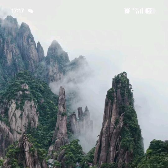 秋仔