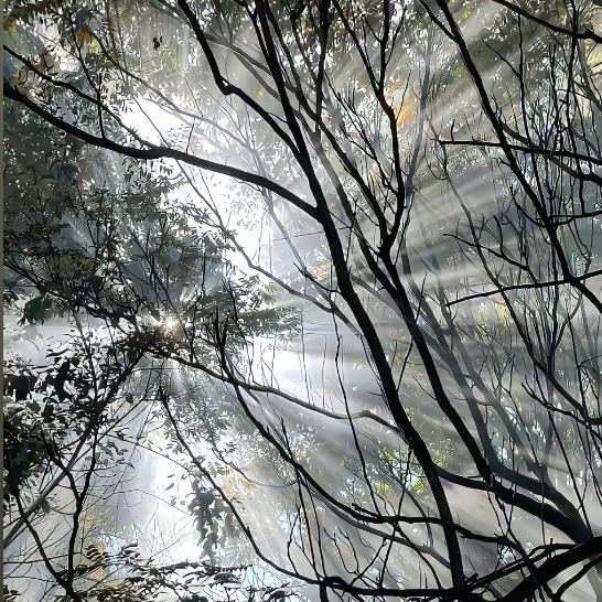 李小海
