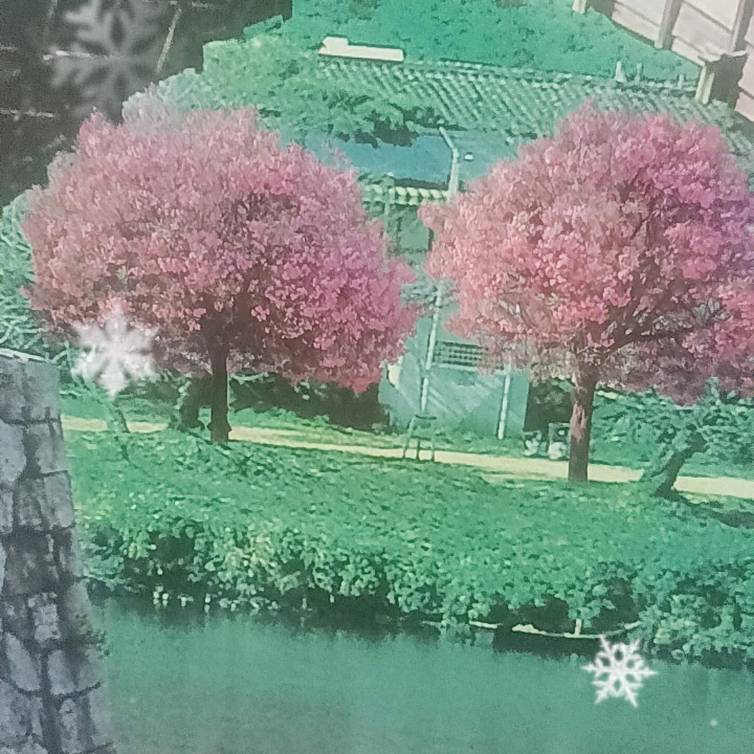 谷城