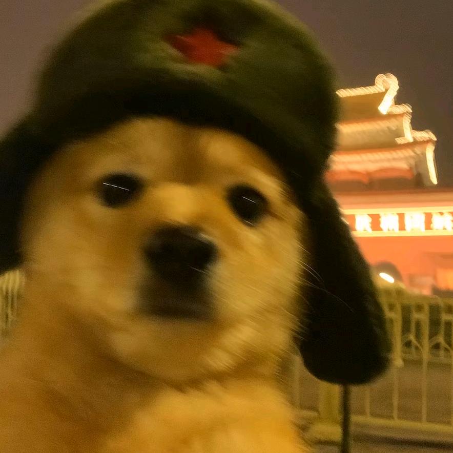 应该去码头整点薯条