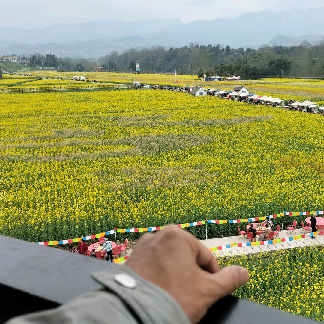 318月兔梦农场（美景美味美诗）