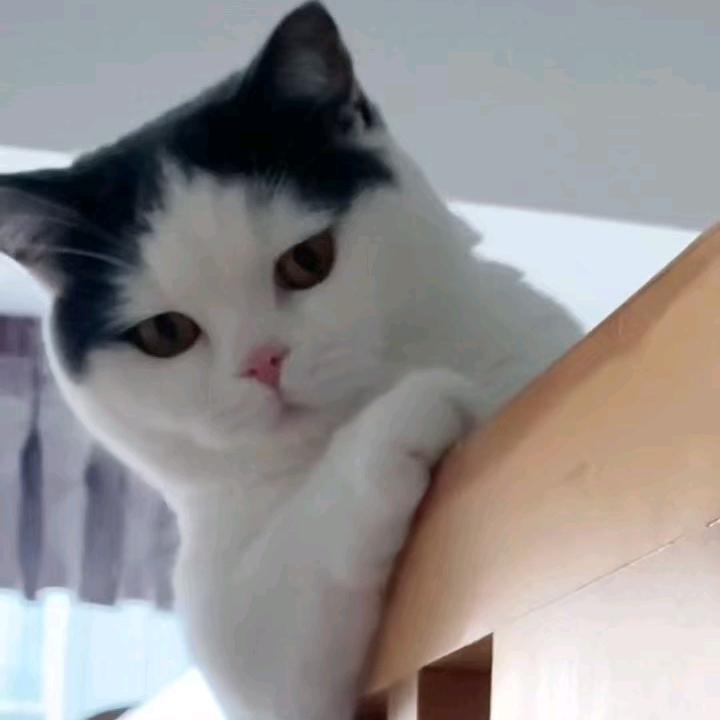 音你而心动🎶