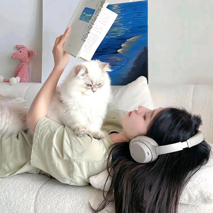 橙啵