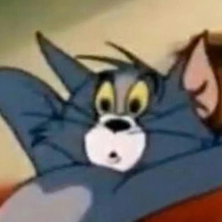 布丁的猫meme