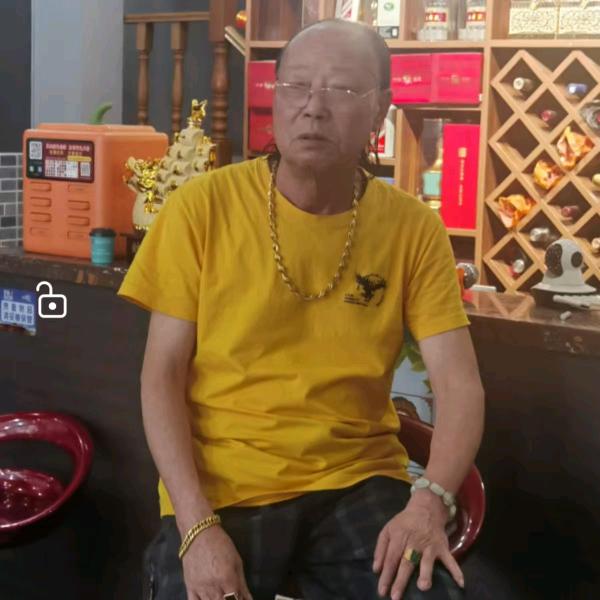 不老松
