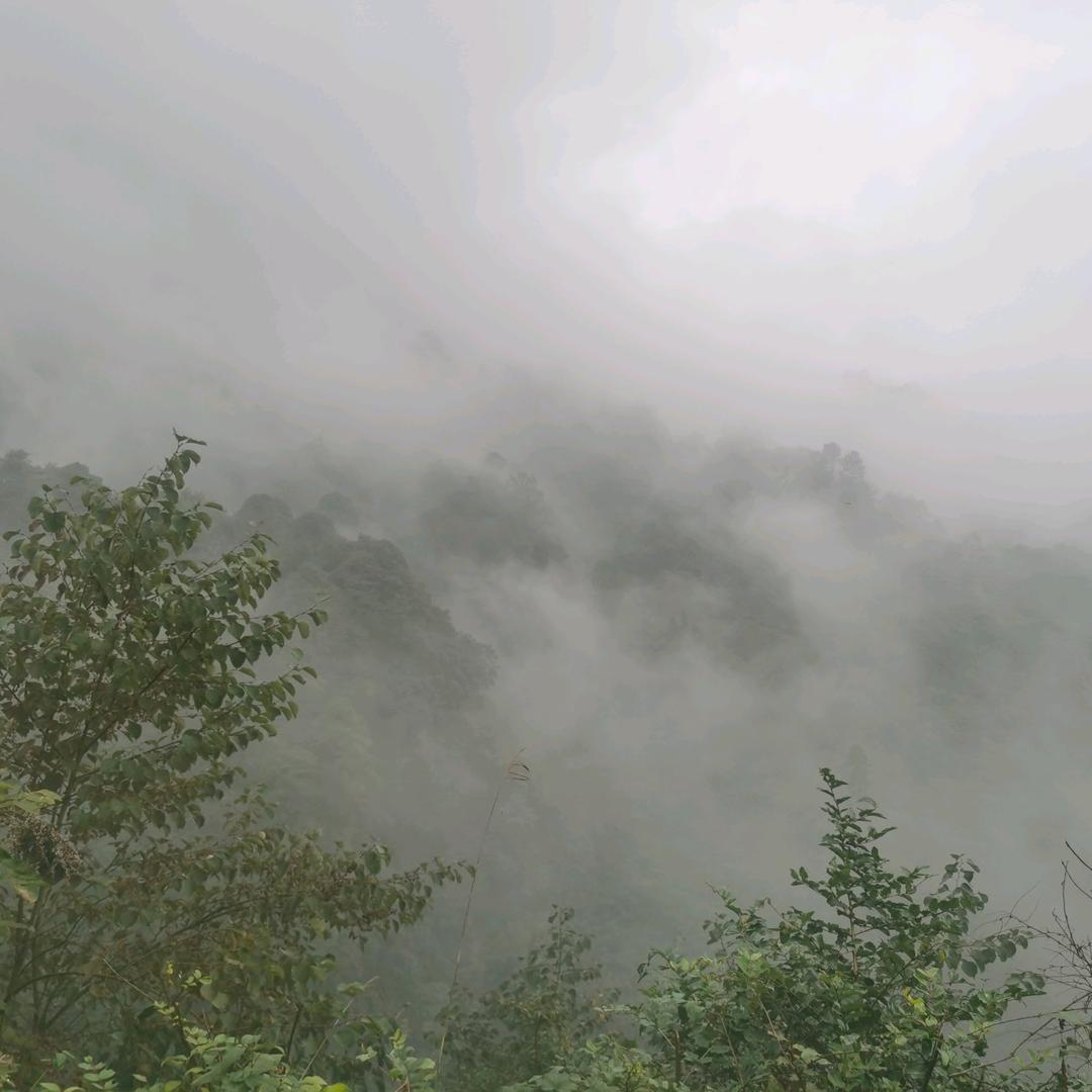 .、