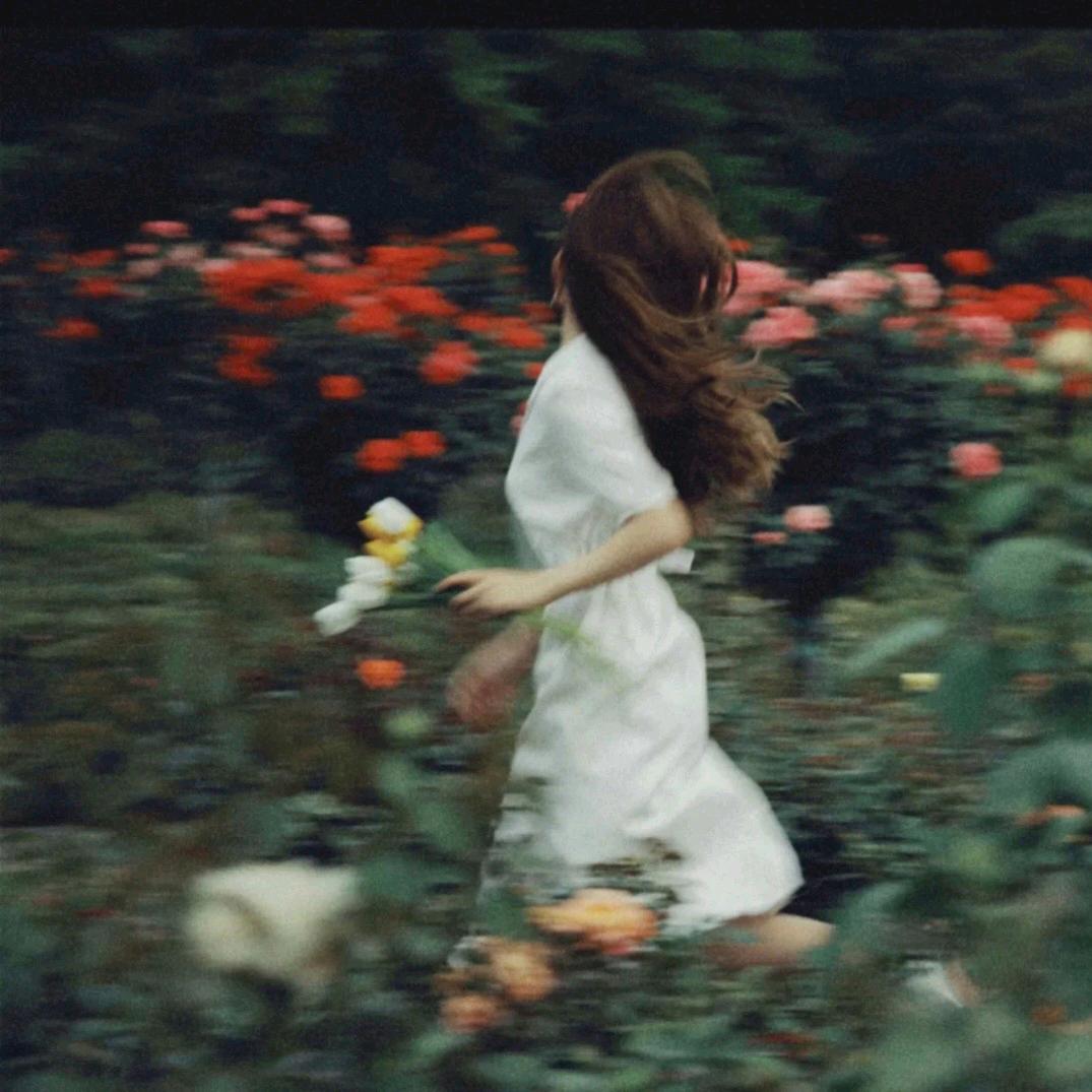 汇杰·又见