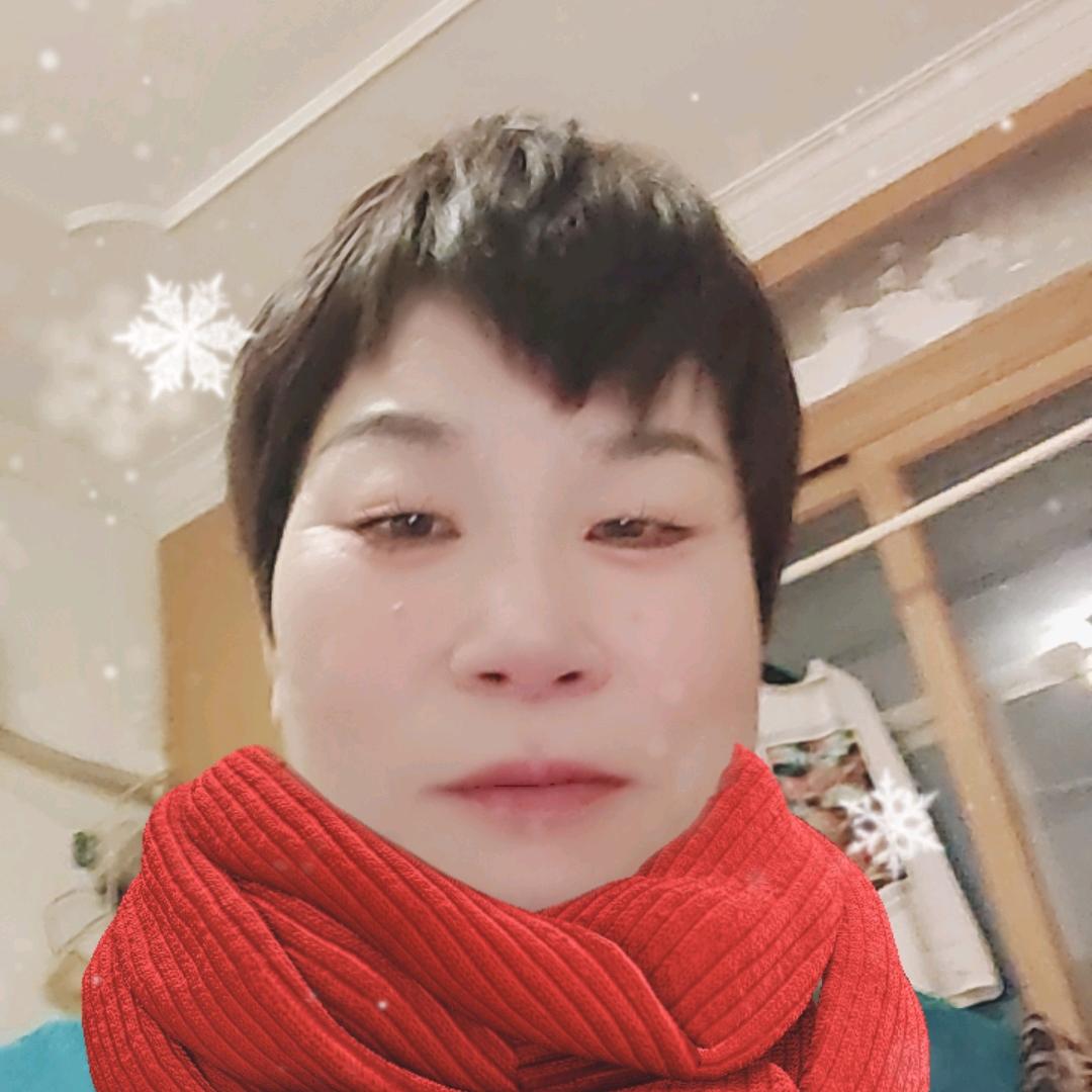 才双凤