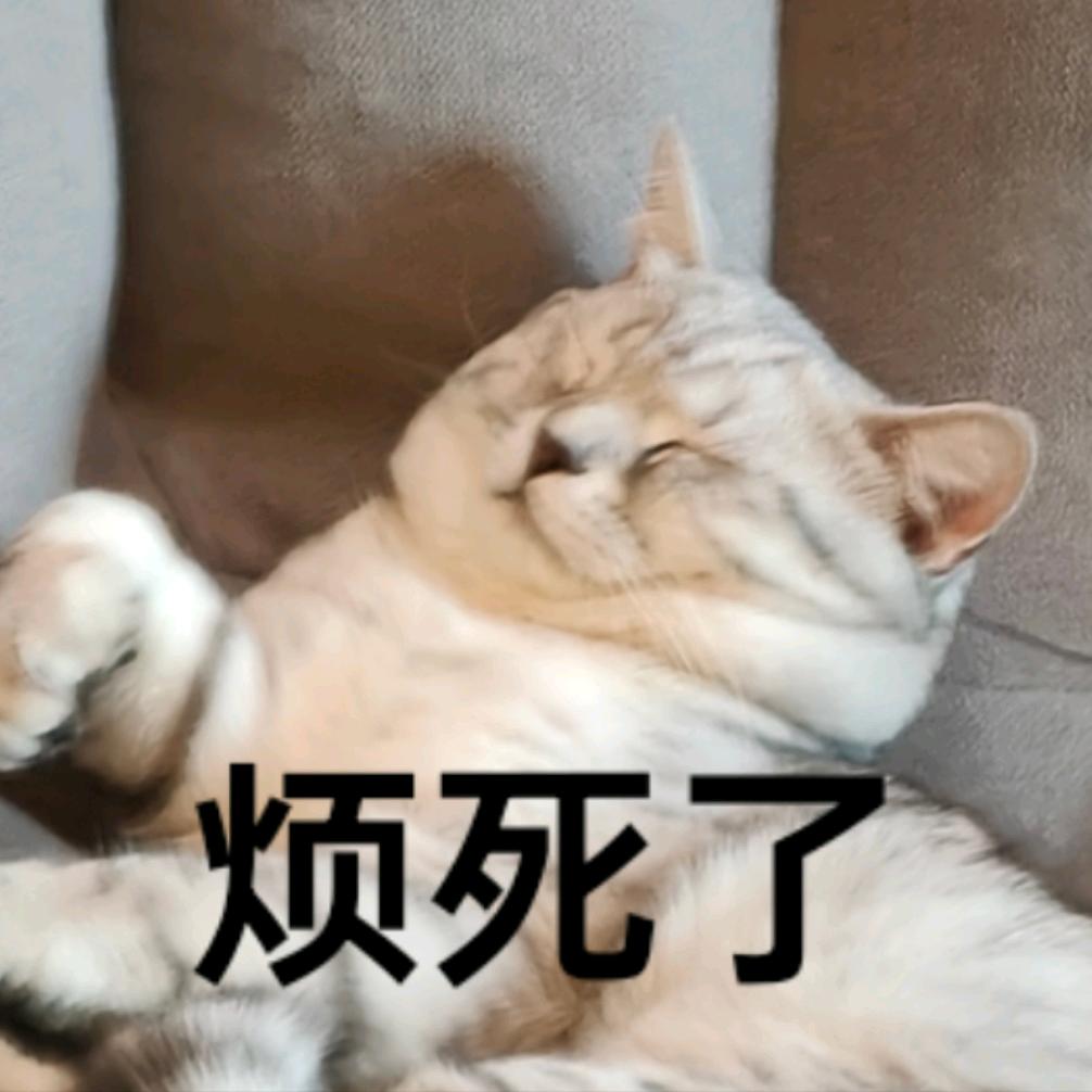 酸奶是只猫