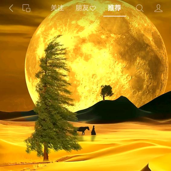 一首歌的故事