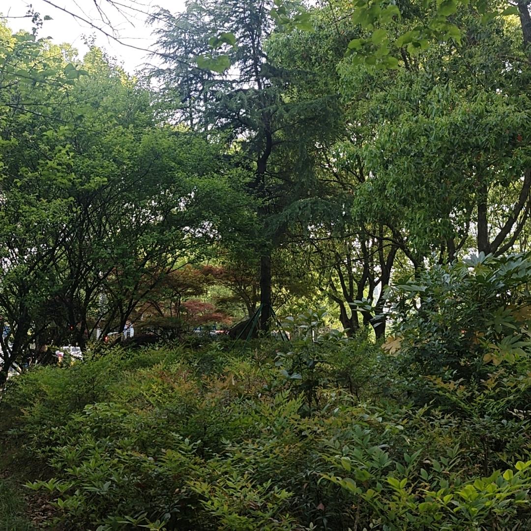 天空视角