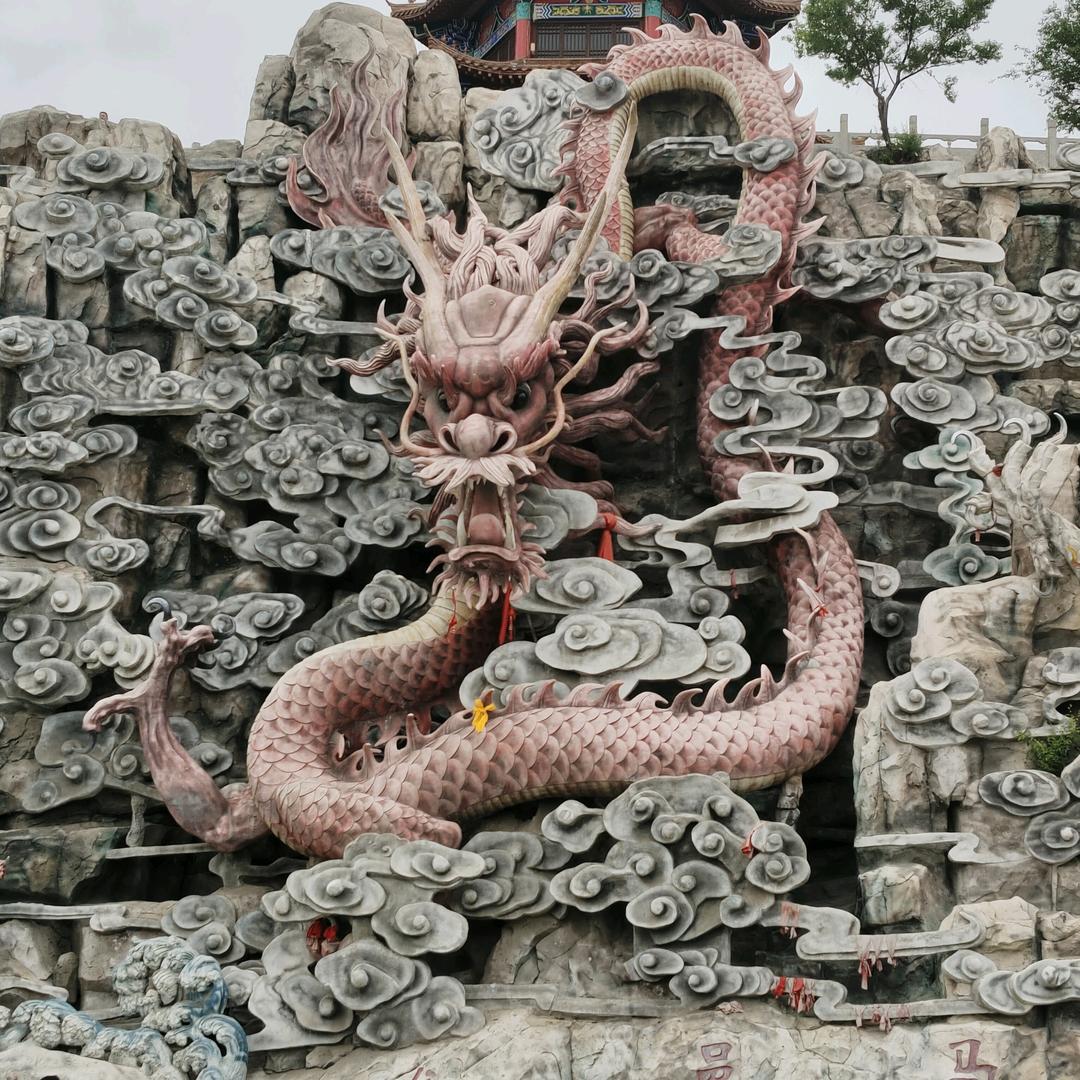 泽浩语
