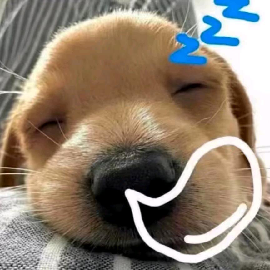 自然醒💤