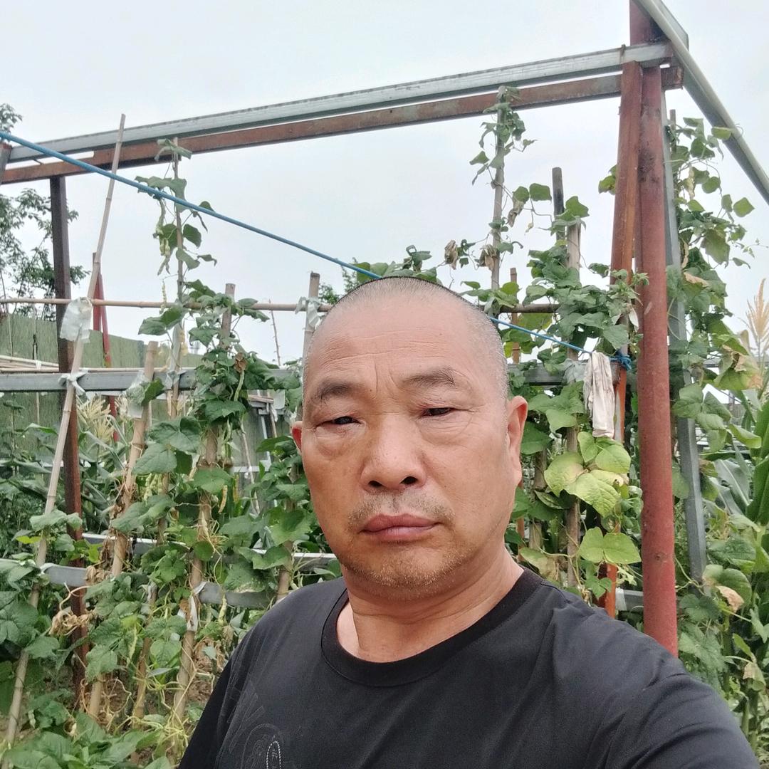 赵大哥狼行天下