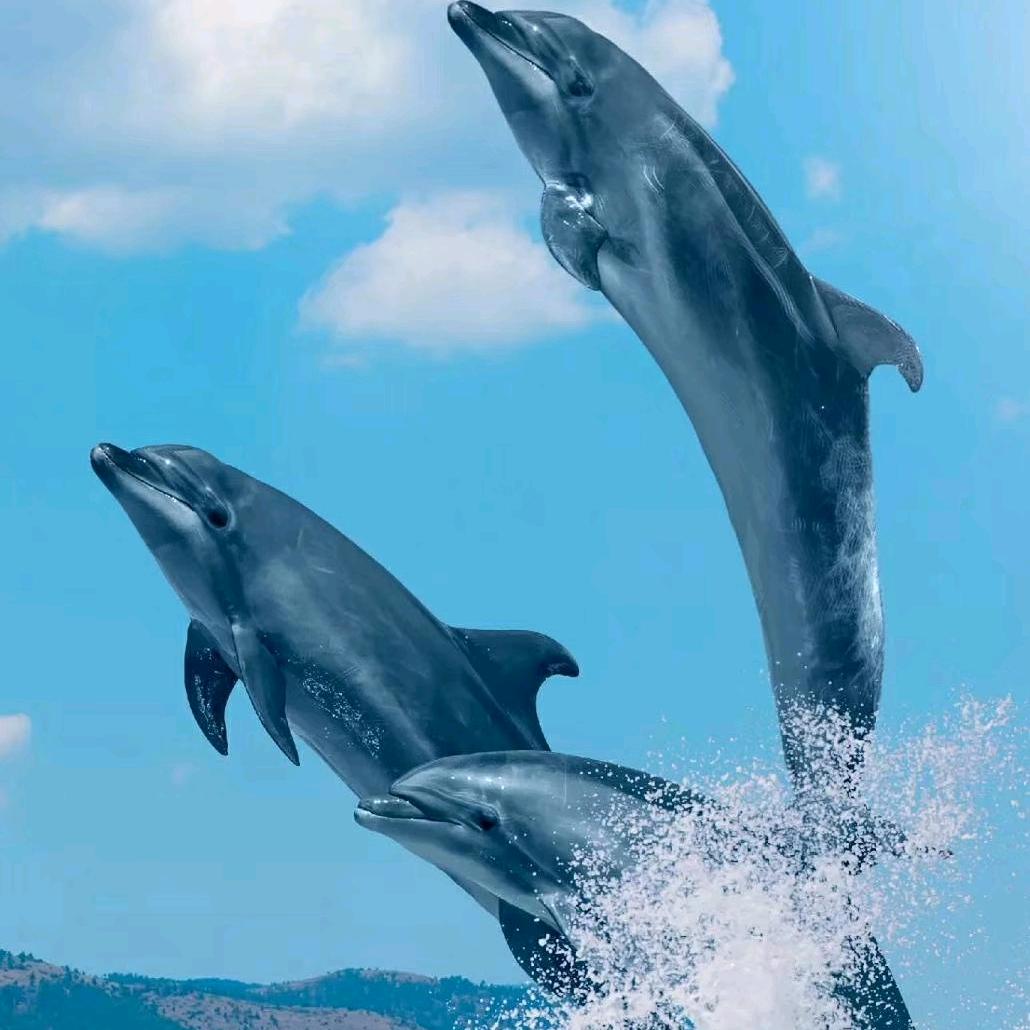 永