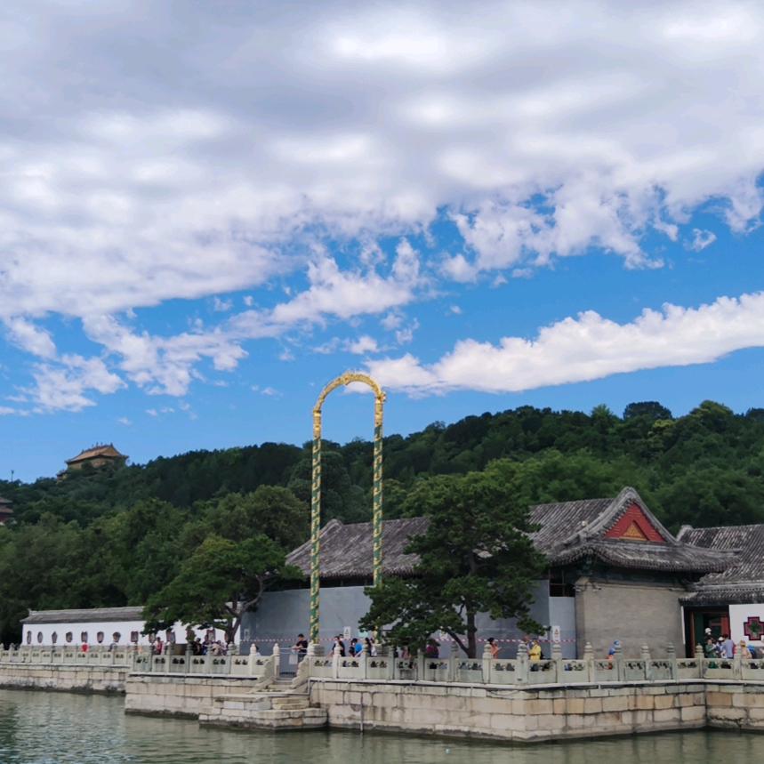 柚头像