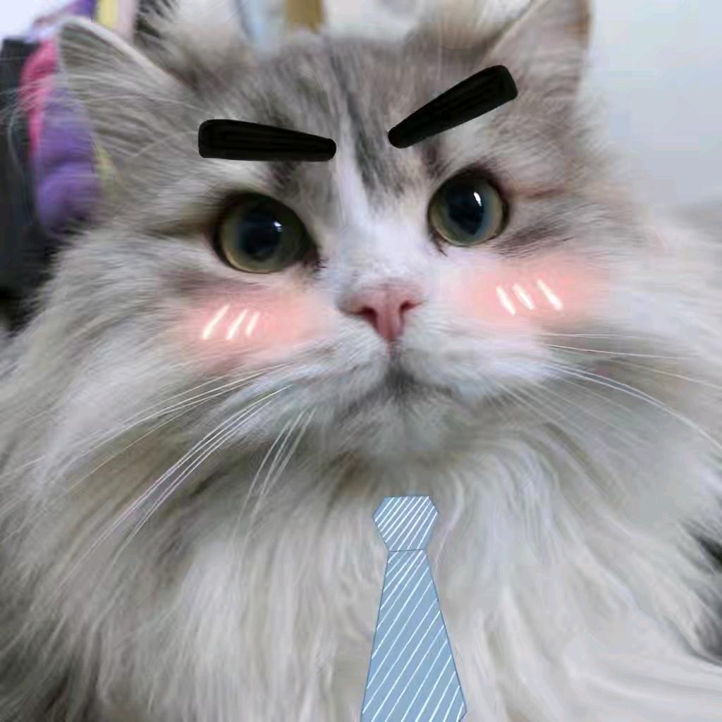 皮卡丘