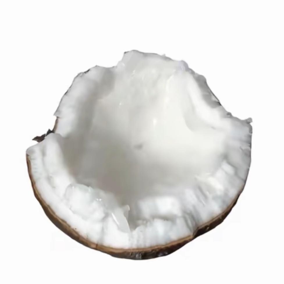 无色无味剧毒老实人