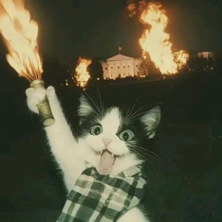 666