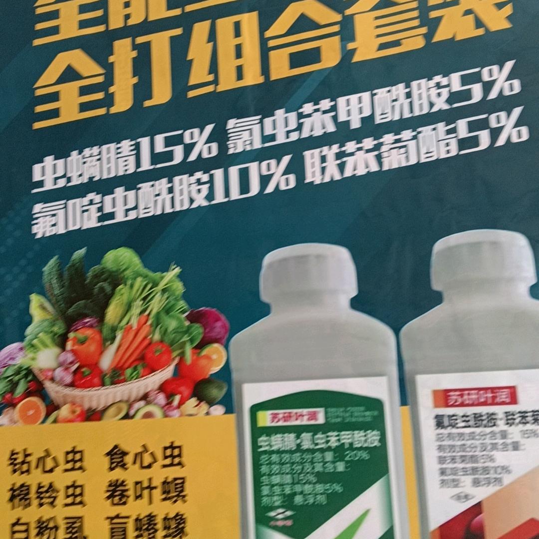 县种子公司连锁店