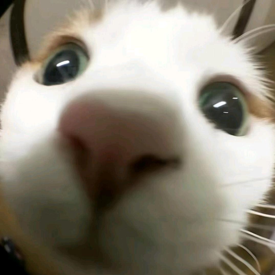 @阳光正好