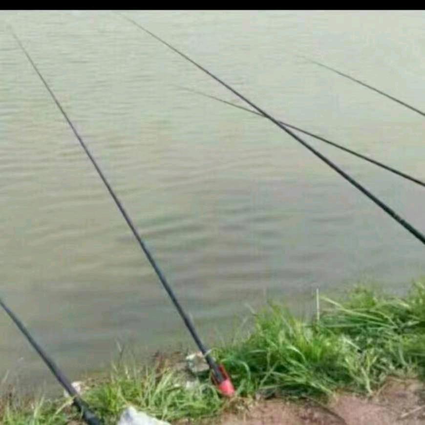 鱼🐟那么🐟爱水🐟