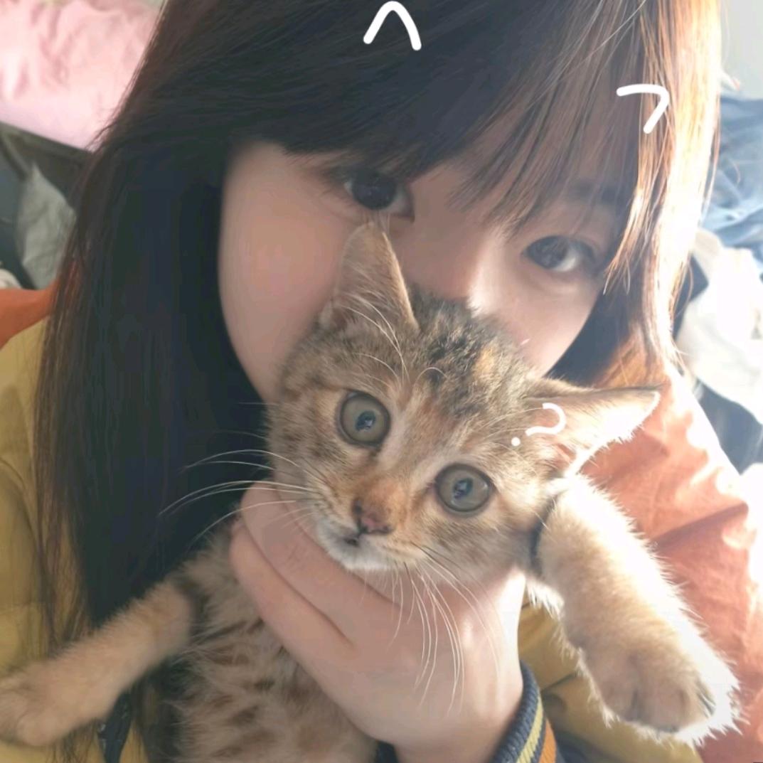 🐾