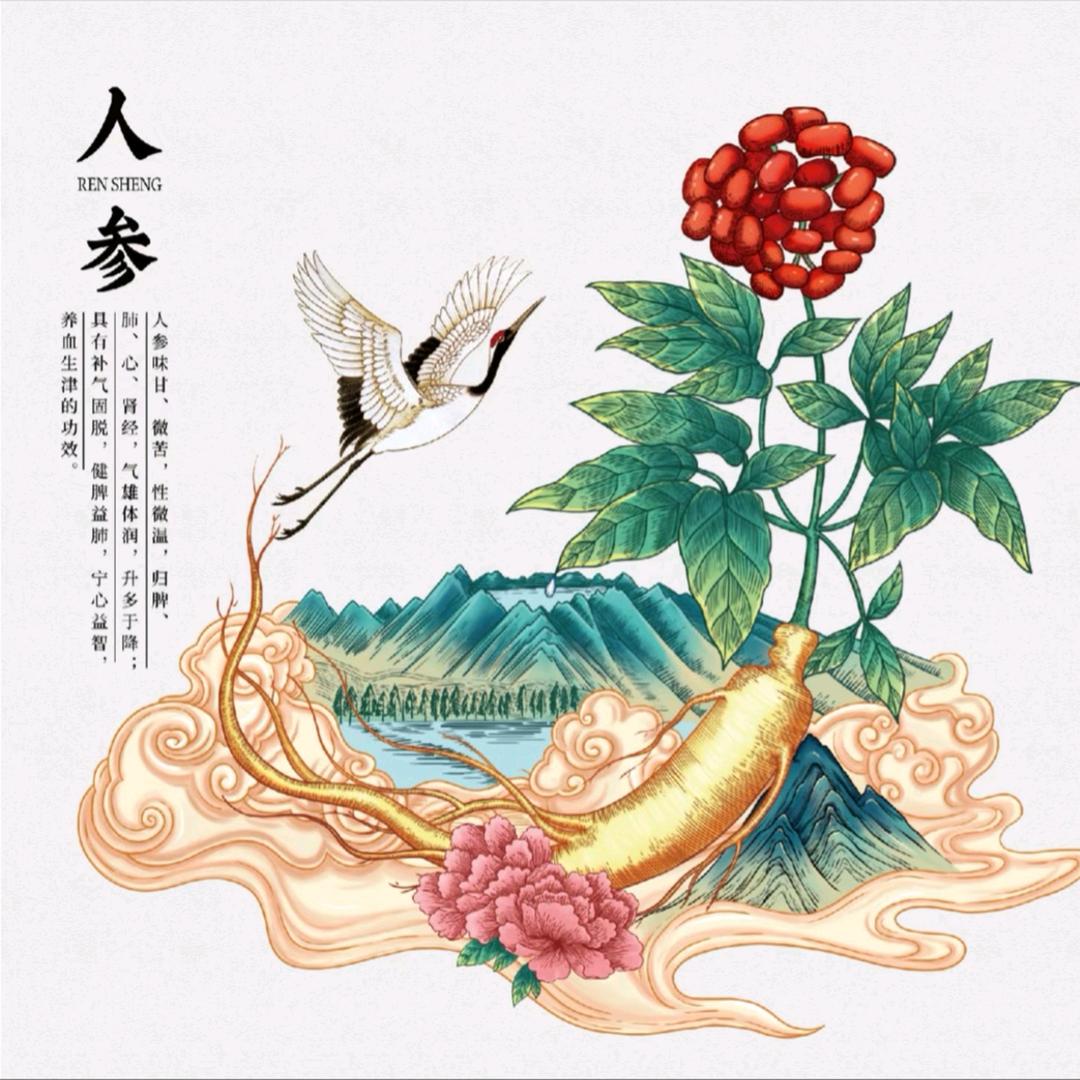 展心参行