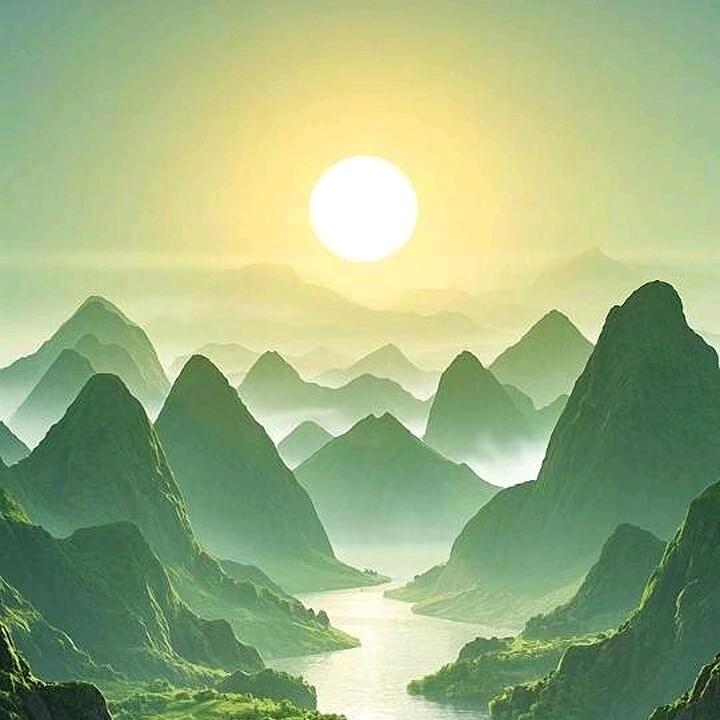 花海戏🐷🐒