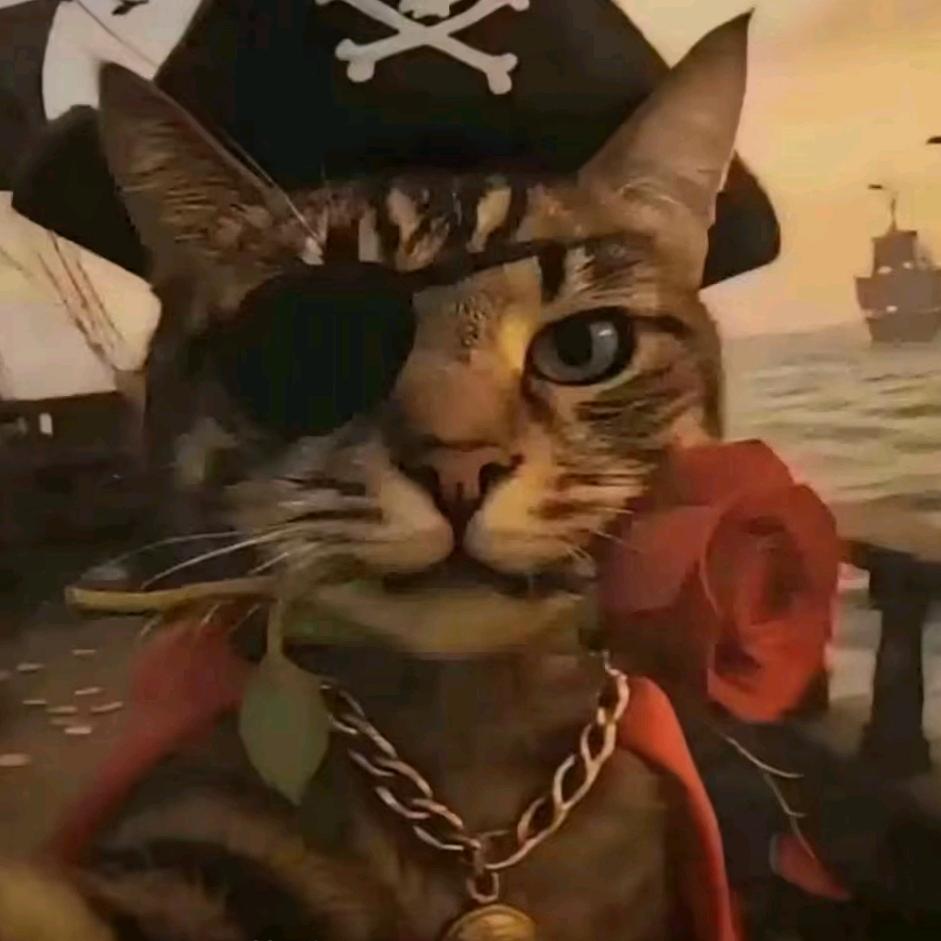 海贼猫