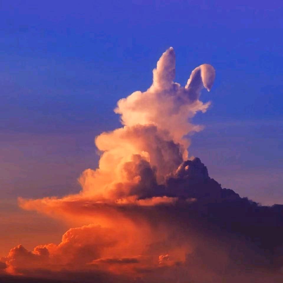 安涂涂 ⁴¹³³⁴