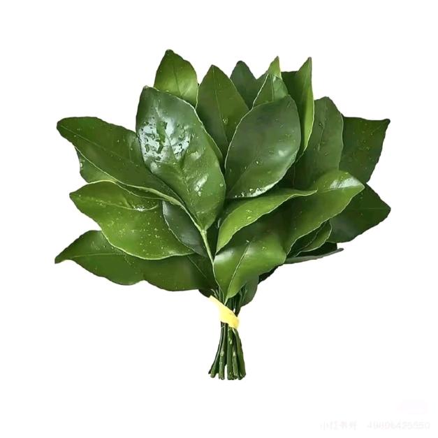 And
