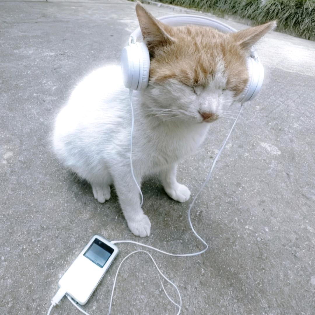 山雾