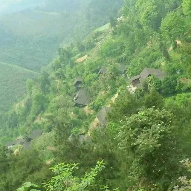姚伦河