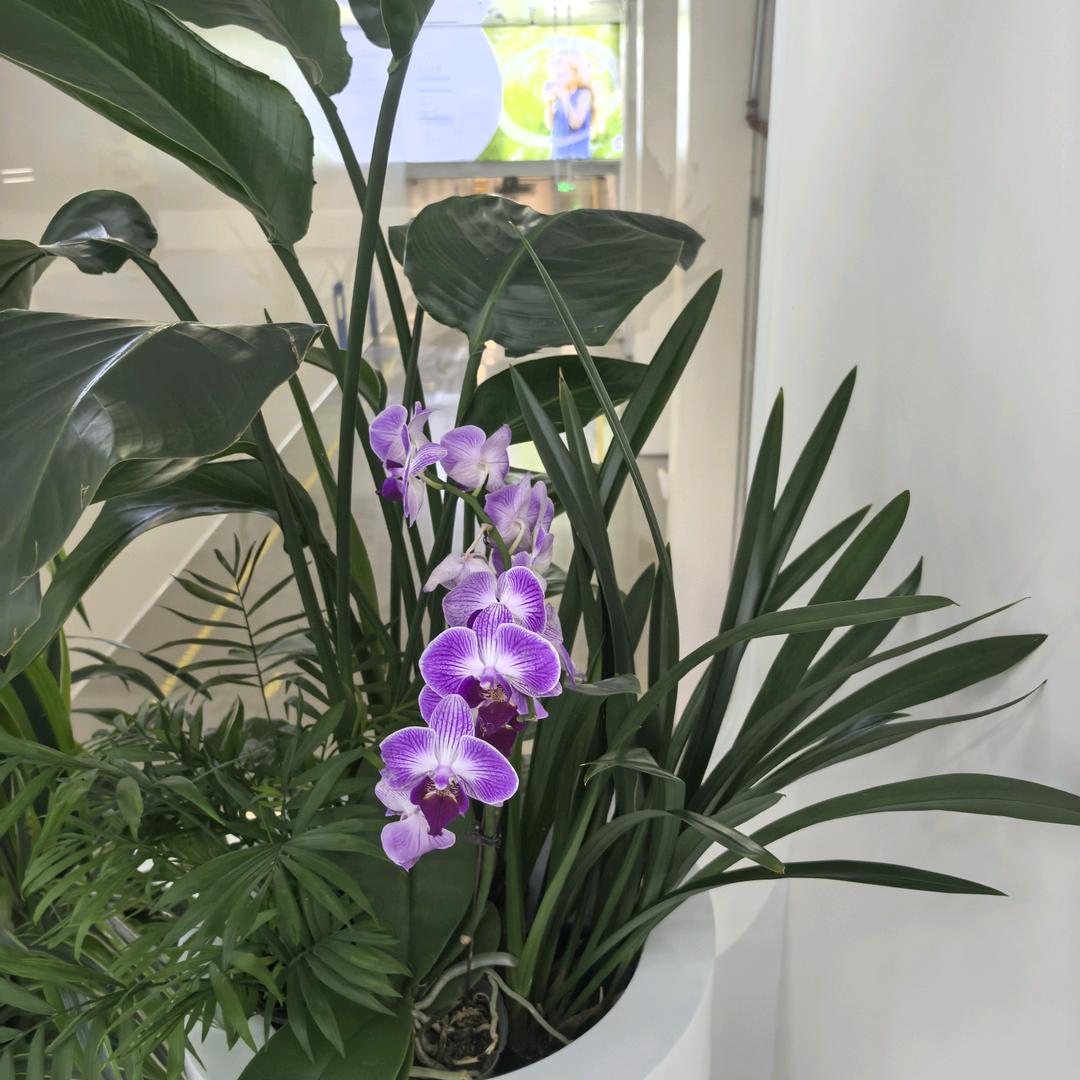 暖城旭日东升哥