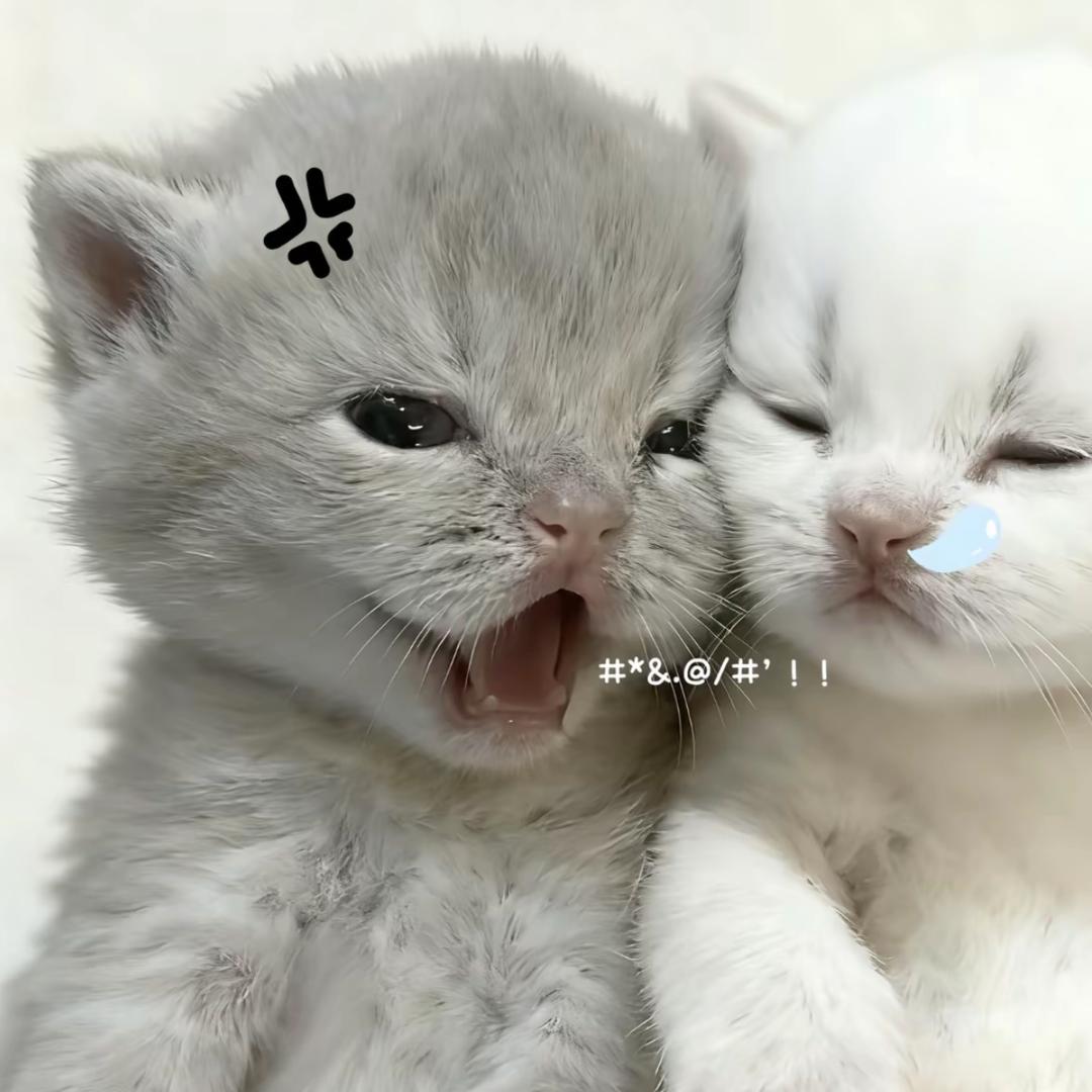 人生短短急个求