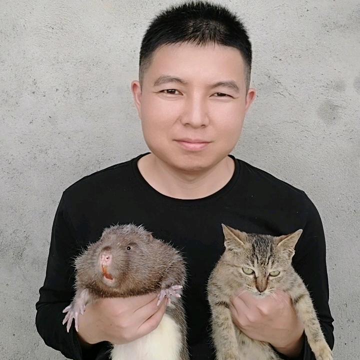 竹鼠老六·平仔（仿野联盟1厂）