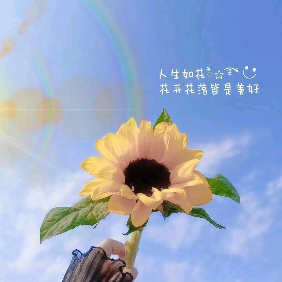 新农人的小菜园