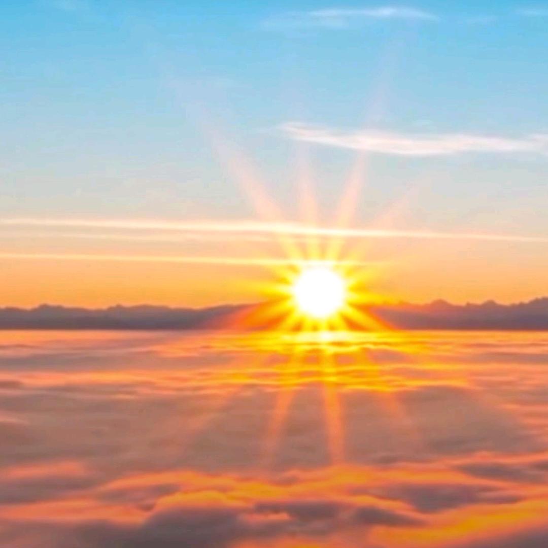 财神爷的小跟班