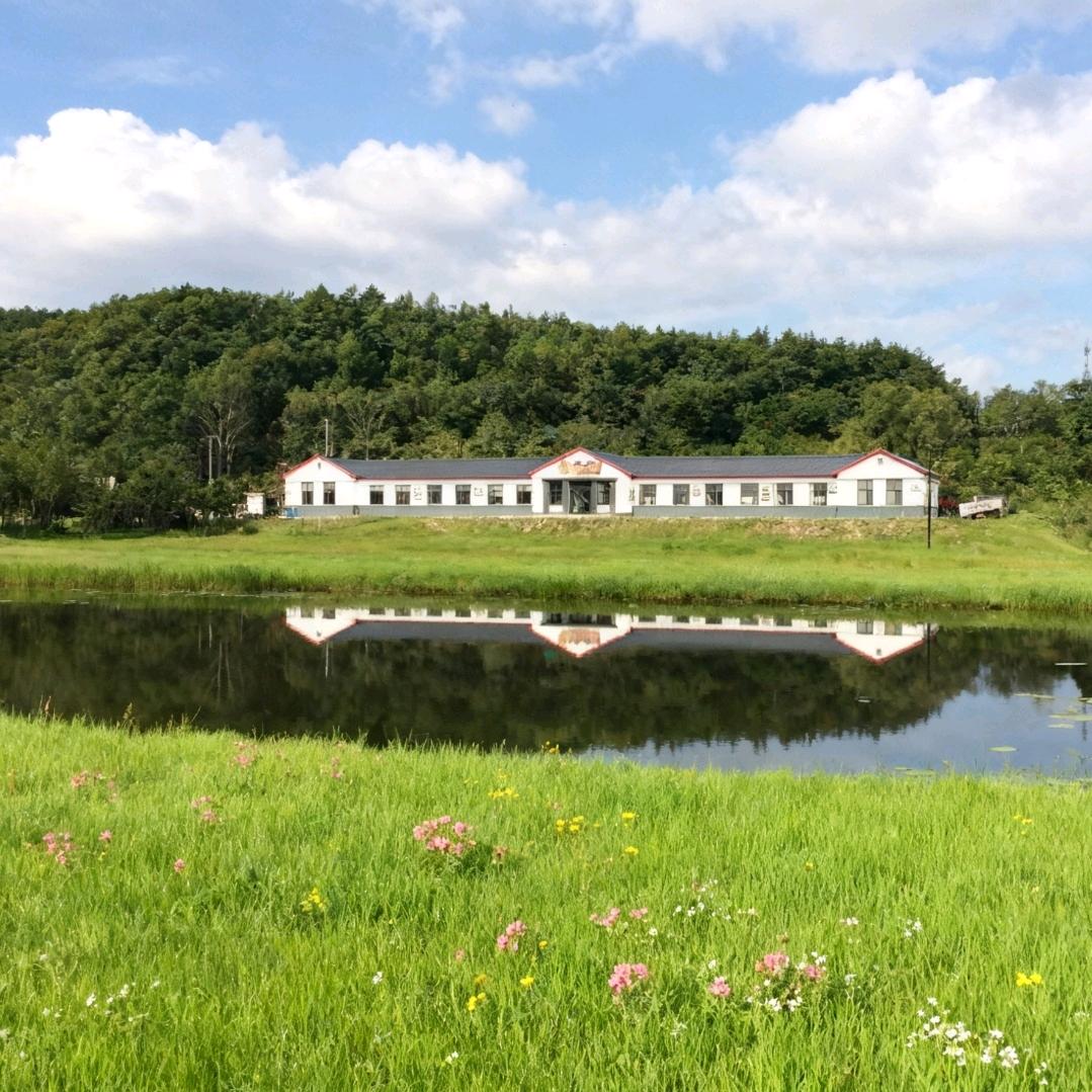 龙井怀庆文冠果基地