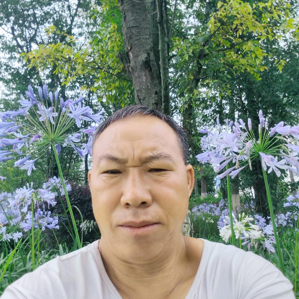 罗平小陈