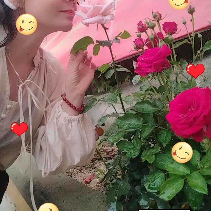 眉梢   ～  那片情