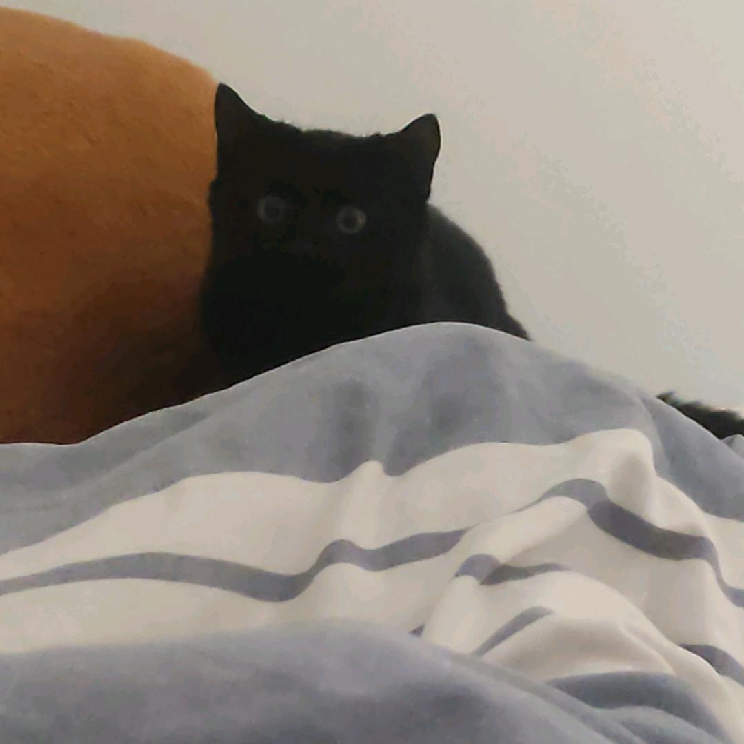 CH.临渊（接单招陪）