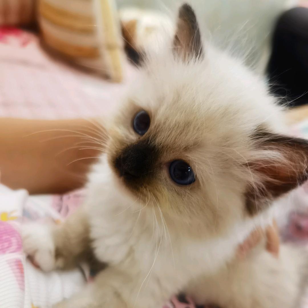 一半一半💐