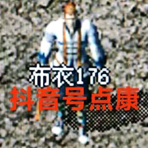 布衣176金币复古