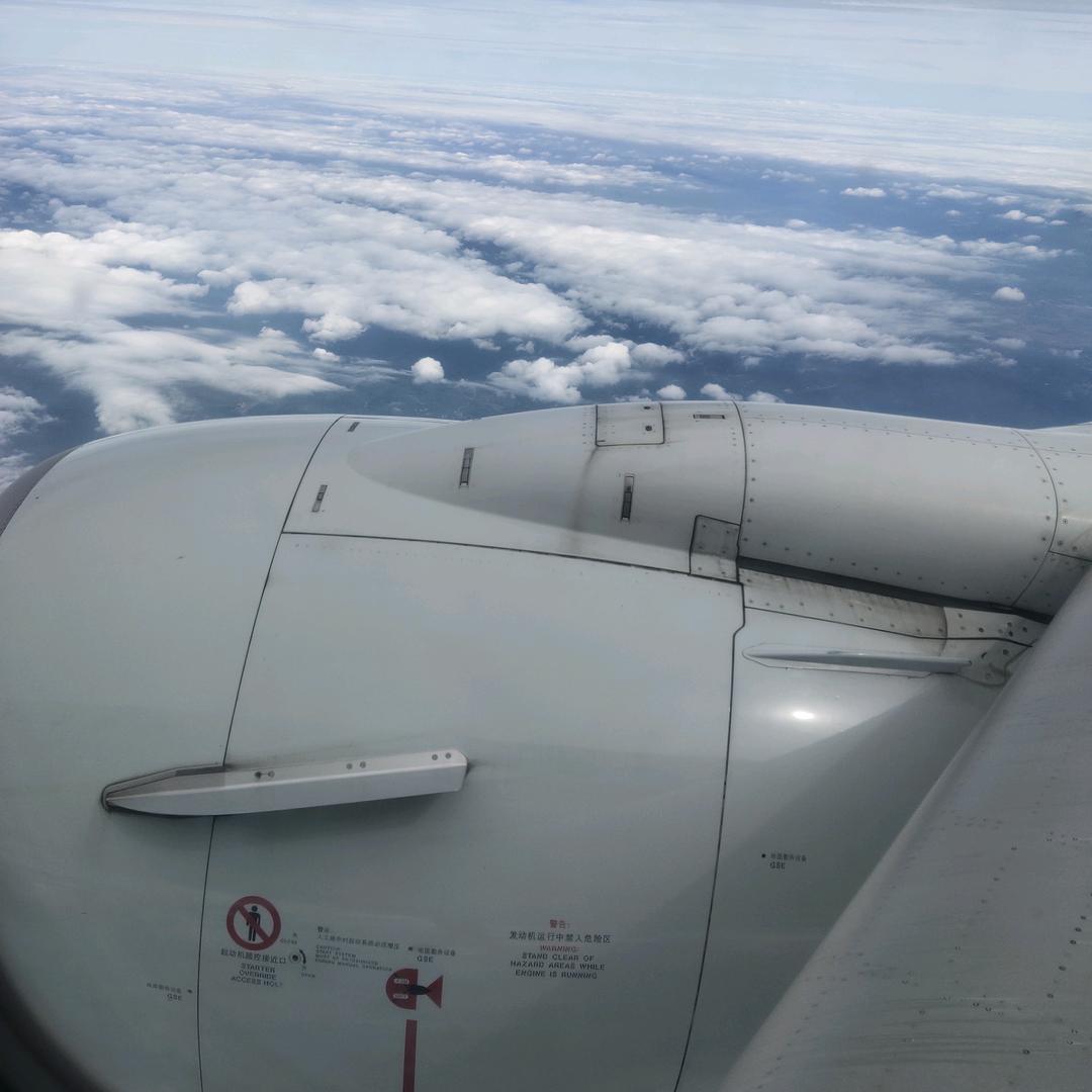 斯可馨家居梅子