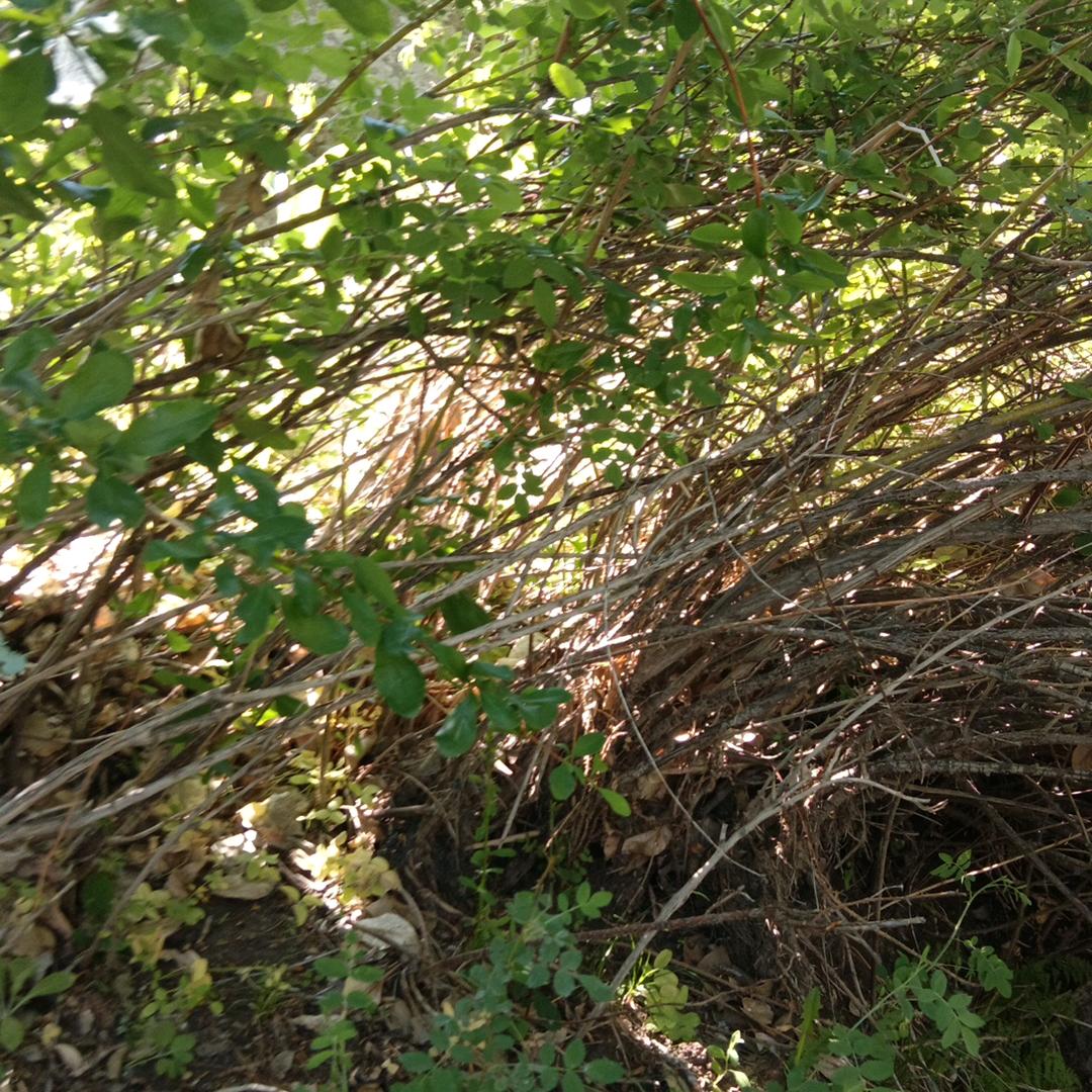 秋天里的温泉