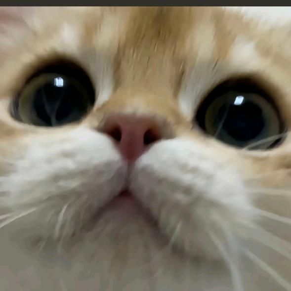 粮心宠物用品店